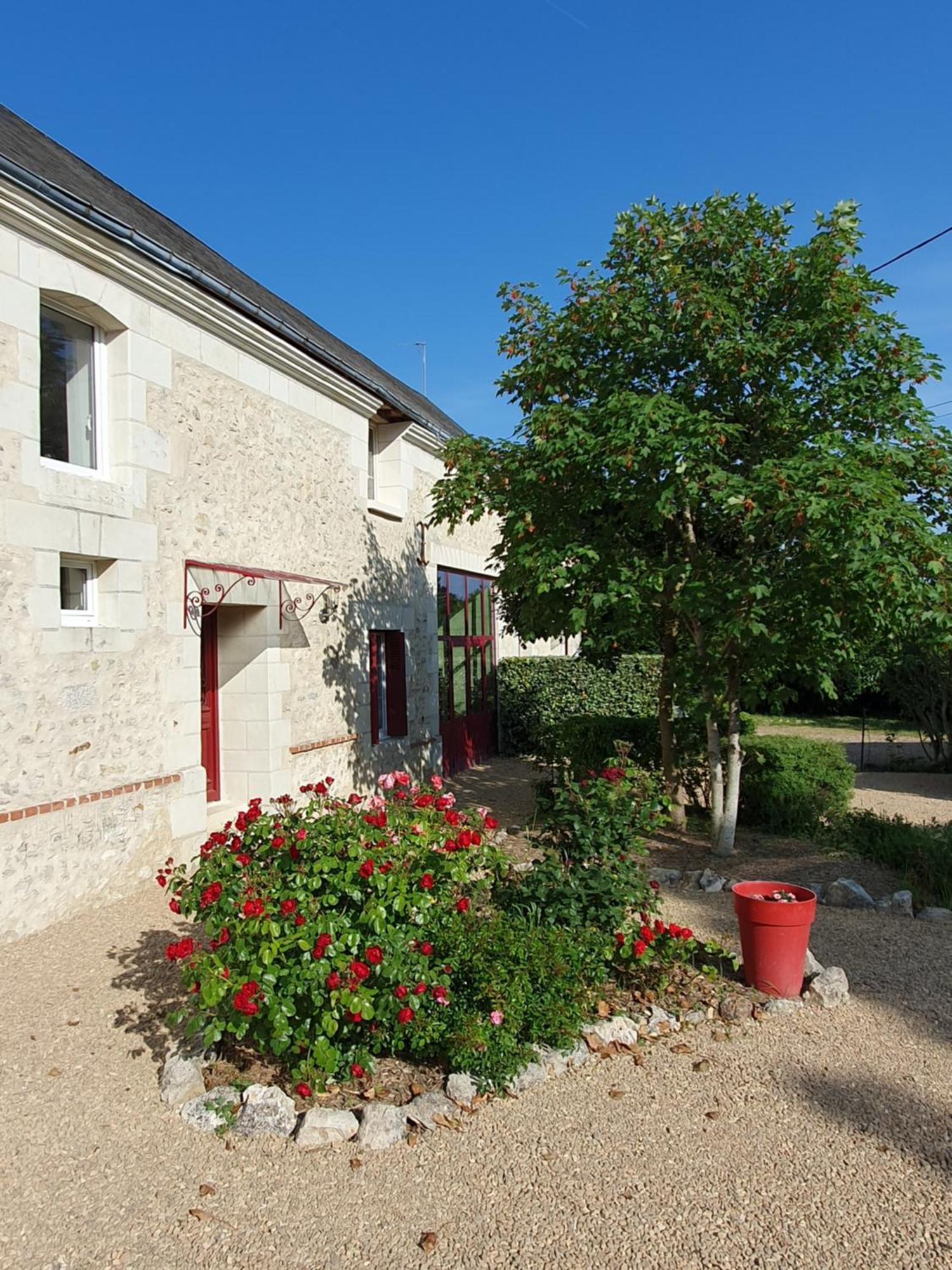 Au Domaine Du Bois Joubert Panzió Luzillé Kültér fotó